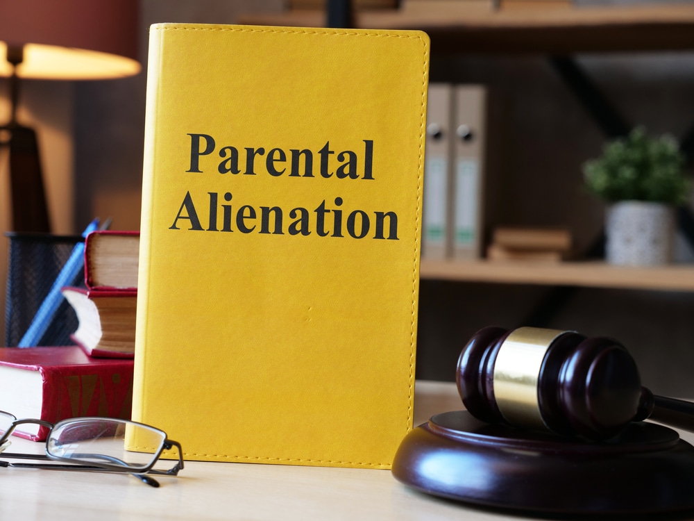 parental alienation | Naperville Divorce Lawyer parental alienation